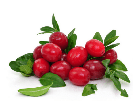 Cranberry 