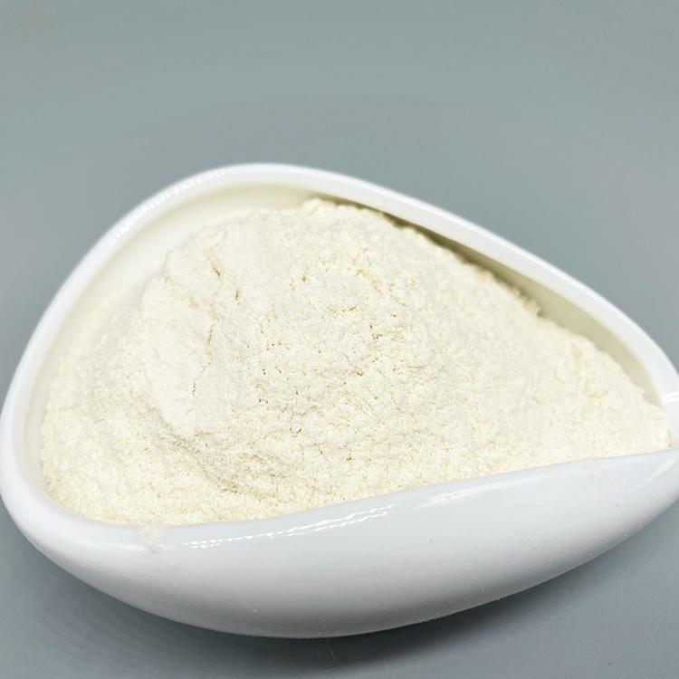 Sodium Alginate Powder Manufacturer