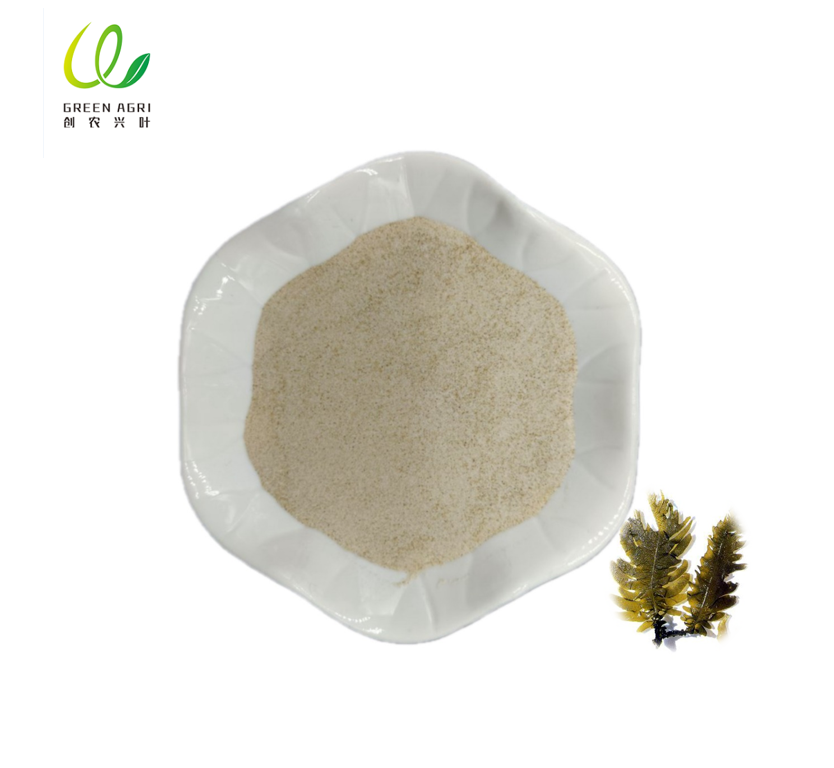 Feed Grade Sodium Alginate