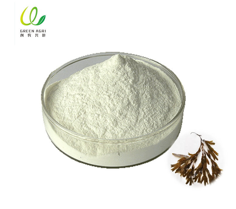 Sodium Alginate Powder