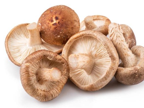 Shiitake Mushroom