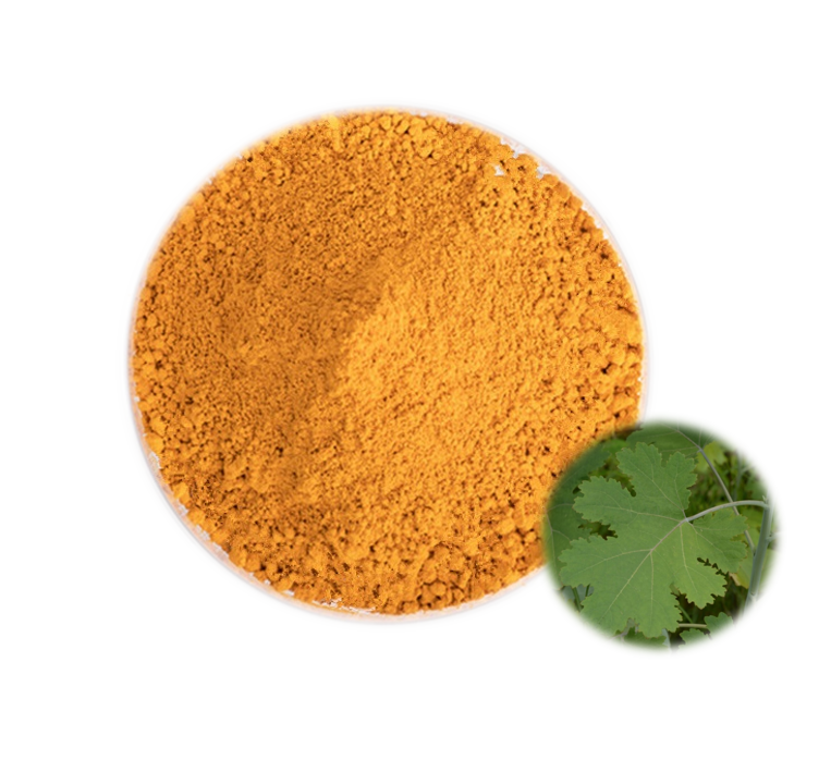 Macleaya Cordata Extract