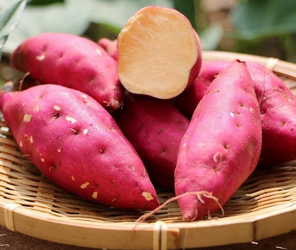 sweet potato