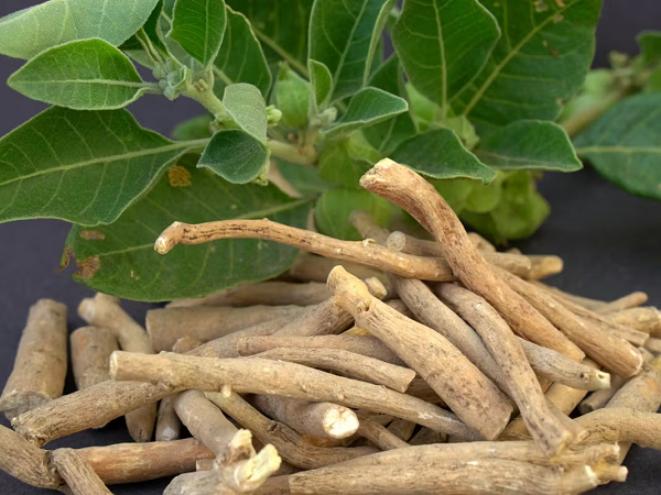 Ashwagandha